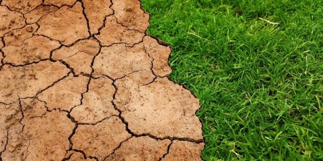 A holland kormány vízhiányt jelentett be a tartós szárazság miatt