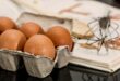 Tojástermelők szövetsége: nem lesz hiány tojásból a következő napokban sem