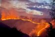 Több mint húsz hektáron égett le egy természetvédelmi terület Erdélyben