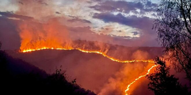 Több mint húsz hektáron égett le egy természetvédelmi terület Erdélyben