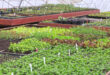 Öt jótanács a fenntartható mezőgazdaság támogatására