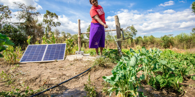 Az afrikai élelmezésben segíthet a napelemes öntözőrendszer