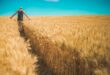 Agrárminisztérium: a magyar gazdák és az agrárium szolgálatában az Agrárközgazdasági Intézet