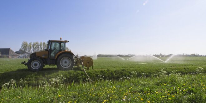 Rengeteg pályázat a gazdálkodóknak, jó ütemben teljesül az agrártámogatások kifizetése