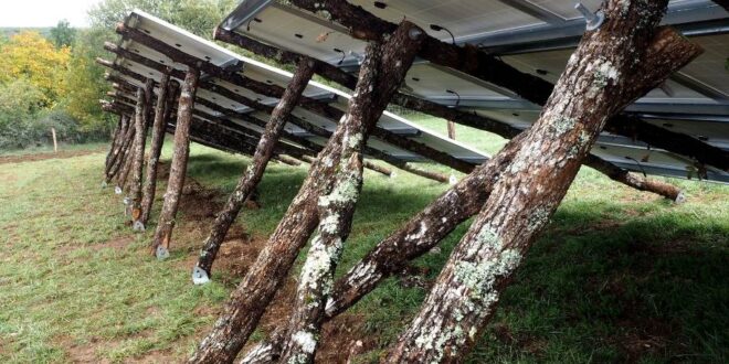 Hulladéklerakóból energia: hogyan működik a helyi valuta-alapú naperőmű?