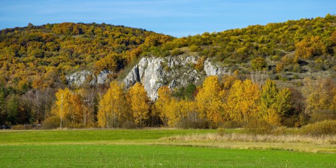 Újraéledő vizek az Aggteleki-karszton – megújulnak a tőzegmohalápok és mocsarak