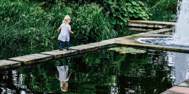 Bécs zöld arca: a lányok bevonásával készül az új városi pihenőpark