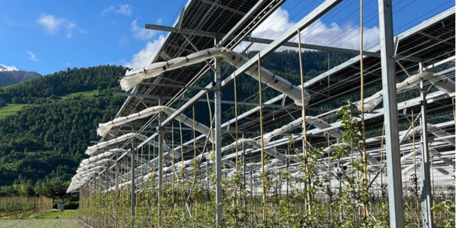 Energiát is termel a gyümölcsös, új korszak jön a mezőgazdaságban!