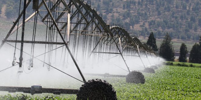 Új agrártámogatás segíti a gazdákat az aszály elleni védekezésben