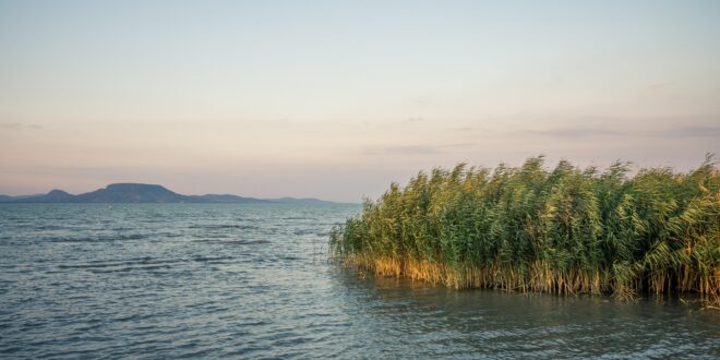 Vészesen apad a Balaton: fél méterrel a maximum alatt a vízszint