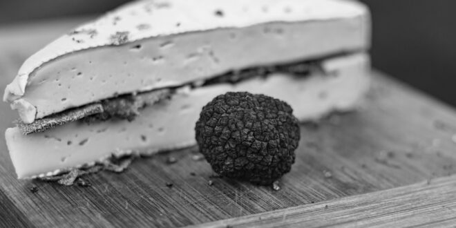 Több tízezer kiló szarvasgombát ástak ki illegálisan Romániában veszélyben az élőhelyek