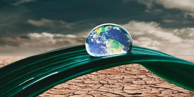 Az Európai Parlament támogatja az EU új, ambiciózus 2040-es klímacélját