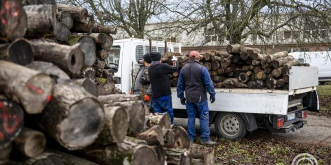 Tűzifaprogram indul a rászorulók támogatására a 2025–2026-os fűtési szezonban