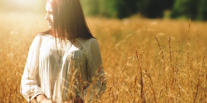Új, szárazságtűrő féltörpe búzavonalat fejlesztettek ki magyar kutatók
