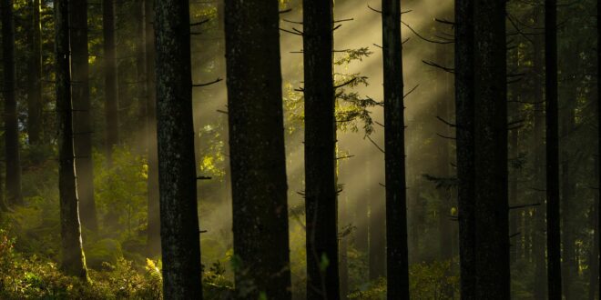 170 hektár kíméleti terület védi a biodiverzitást