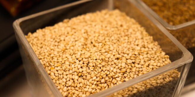 Áder János: a klímaváltozás és a vízválság a vetőmagszektor két legnagyobb kihívása