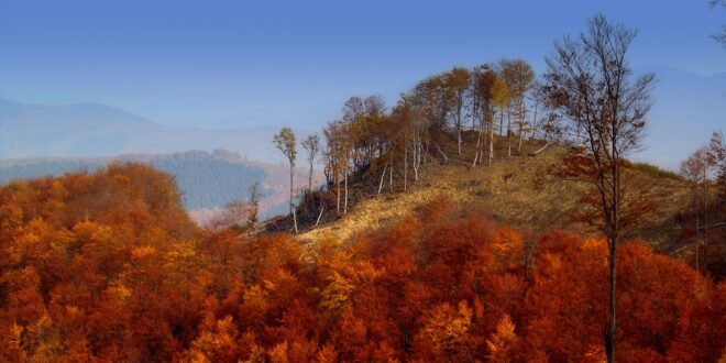 Élőhely-rekonstrukció indul a Mátrában: 70 hektárnyi rét újul meg