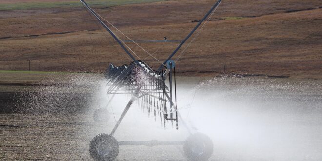 Öntözésfejlesztéssel készítik fel a fiatal gazdákat a klímaváltozás kihívásaira