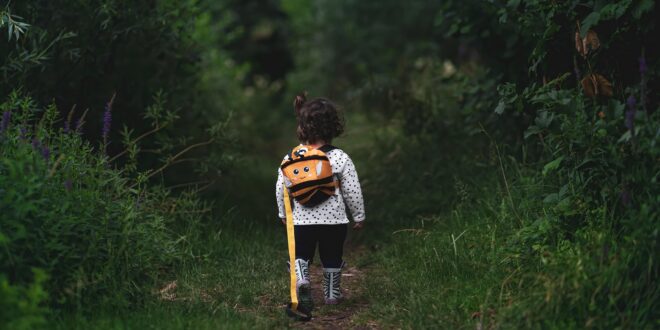 Átfogó természetvédelmi fejlesztés indul a Bél-kő egyedülálló élővilágának megóvására