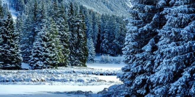 Drasztikusan csökkent a havas és hótakarós napok száma Magyarországon az elmúlt évtizedekben