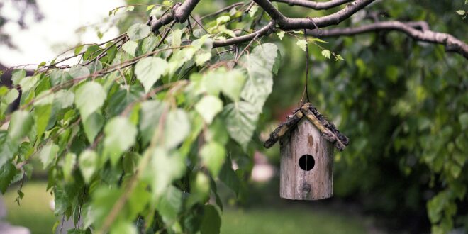 Hogyan segítheti a közösségi tudomány a természetvédelem 2030-as célját?