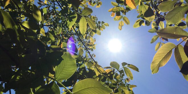 Megújuló energiára épít a Szigetköz