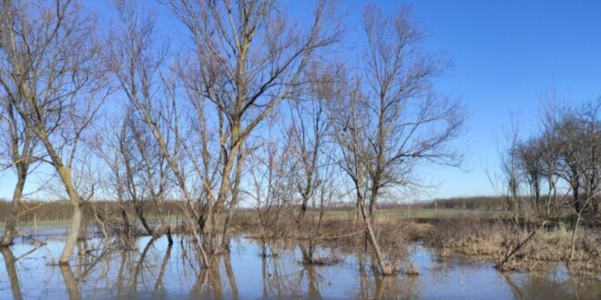Halgazdálkodási hibák rontották le a Pátkai-víztározó vízminőségét