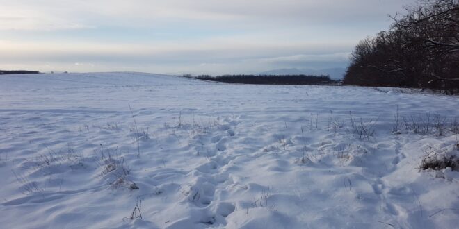 Pénzt adnak a vízért: áttörés jöhet a magyar vízmegtartásban