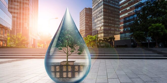 Városstratégiai kérdéssé vált a fák életben tartása