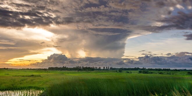 Klímavédelemre kötelezték Hollandiát: új klímaterv kell Bonaire megóvására