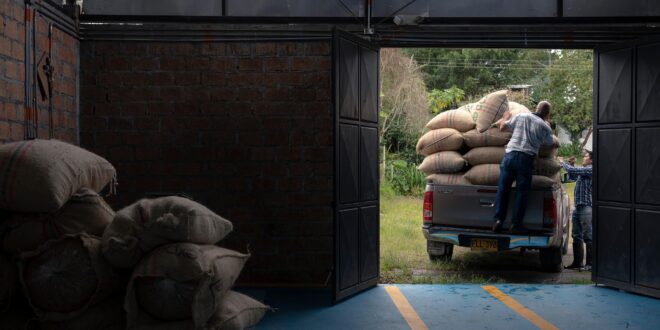 Klímaváltozás formálja át a magyar agráriumot