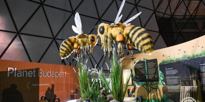 Erdők és klíma kéz a kézben: konferencia a fenntartható jövőről