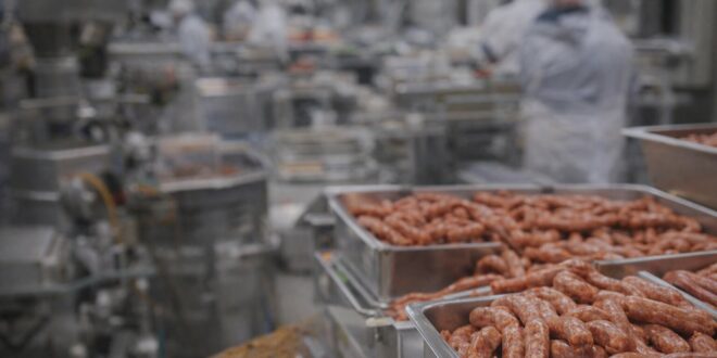 Erősödik a hazai élelmiszeripar: a jövő kulcsa a fejlesztés