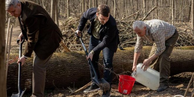 Klímaváltozásra készítik fel a városi erdőket Magyarországon