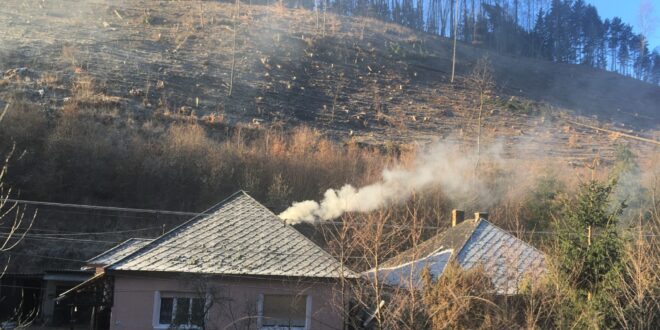 Meglepő adat: a többség nem tudja, milyen erdőből származik a tűzifa