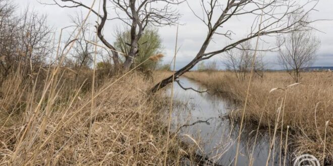 Több mint 6300 hektárral bővült a Balaton-felvidéki Nemzeti Park