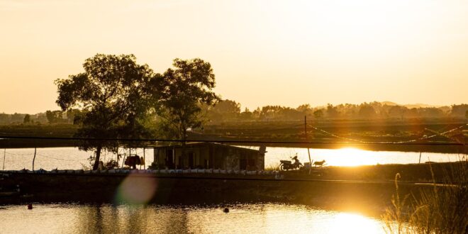 Halastavak védelmére nyert támogatást egy hajdúszoboszlói cég