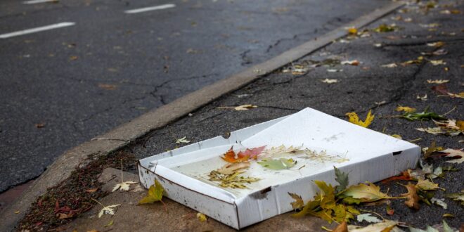 Mesterséges intelligencia segíti az illegális hulladék elleni harcot