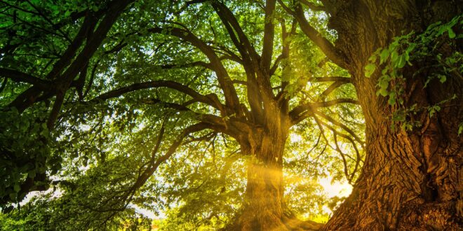 Támogatással indul országos természetbarát szemléletformáló program