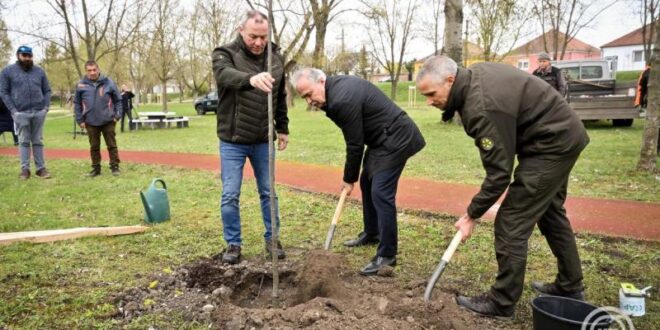 Idén elültetik a százezredik fát a településfásítási programban