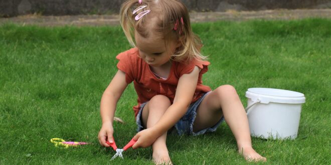 Ne nyírjuk le a kiszáradt füvet, új szemléletet javasolnak a szakértők