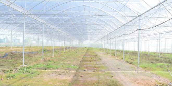 Fenntarthatóság a fókuszban: egyetemek és szakemberek vitatták meg a jövő kihívásait