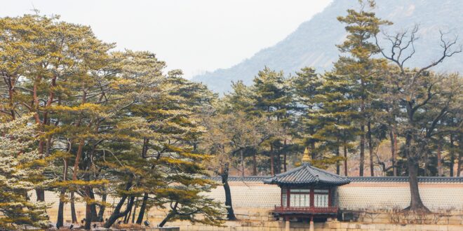Ősi tudás, modern megoldások: így segítik a hagyományok a fenntartható jövőt