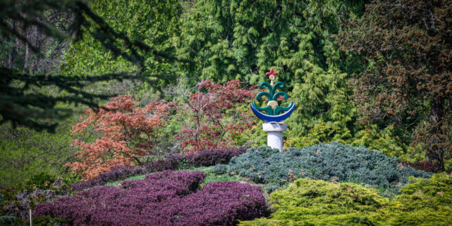Mesés japánkerttel bővült a szombathelyi Kámoni Arborétum