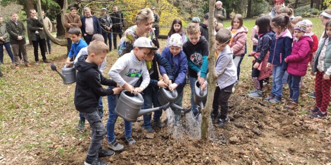 A fák segíthetnek megvédeni a városokat a villámárvizektől