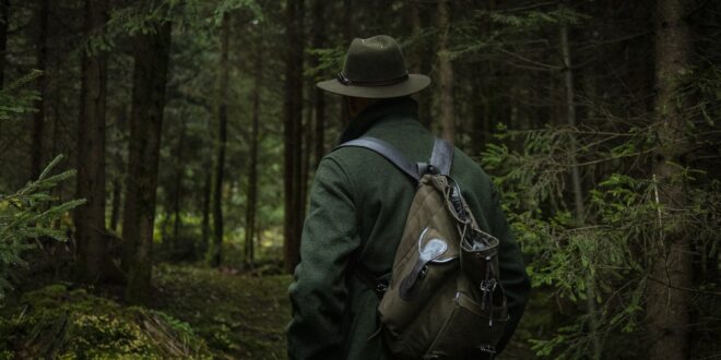A klímaváltozás új kihívások elé állítja a vadgazdálkodást