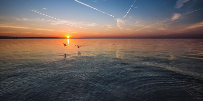 Nem a vízszint a legnagyobb probléma: a Balaton összetett ökológiai kihívásokkal néz szembe