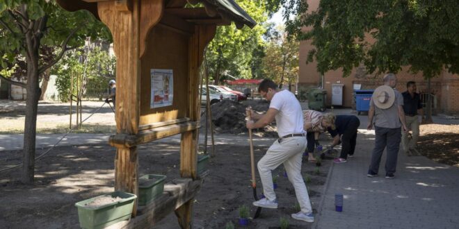 Zöldebb környezet várja a betegeket a Péterfy Kórházban
