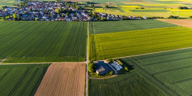 Tovább súlyosbodik az aszály: az Alföldön már 170 milliméter csapadék hiányzik