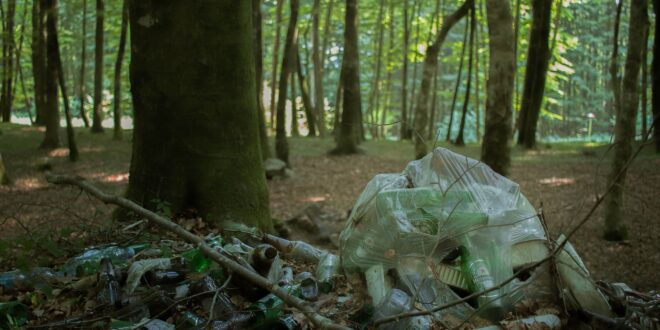 Évi több ezer tonna illegális hulladék kerül az erdőkbe